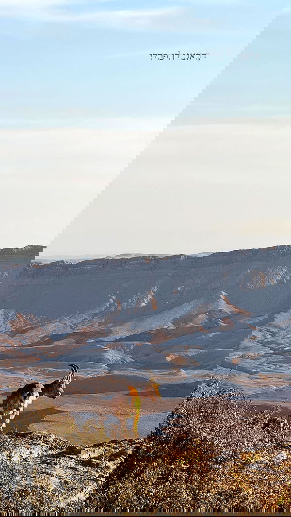 itsilanosh itsilanosh archive image