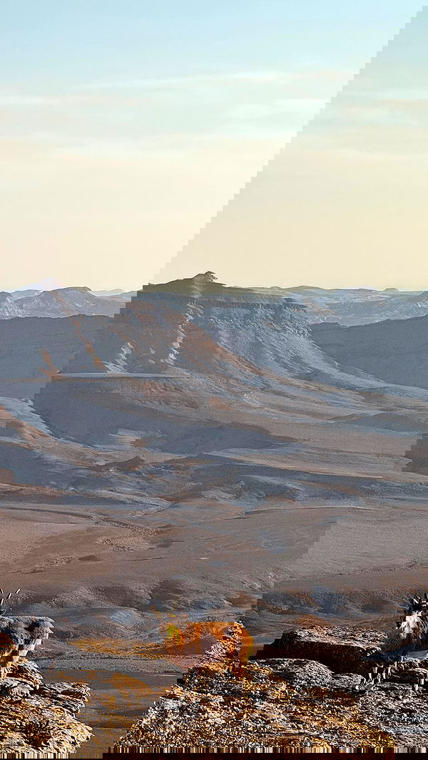 itsilanosh itsilanosh archive image