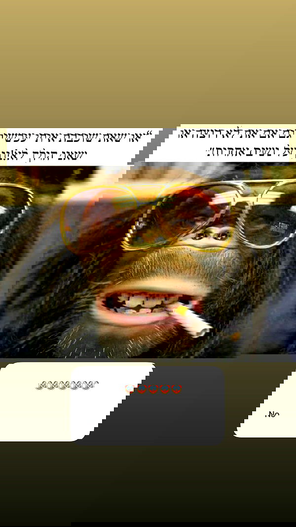 itsilanosh itsilanosh archive image