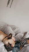 izzyyross__ Altpins Profile Picture