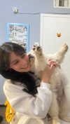 jardenkarin Altpins Profile Picture