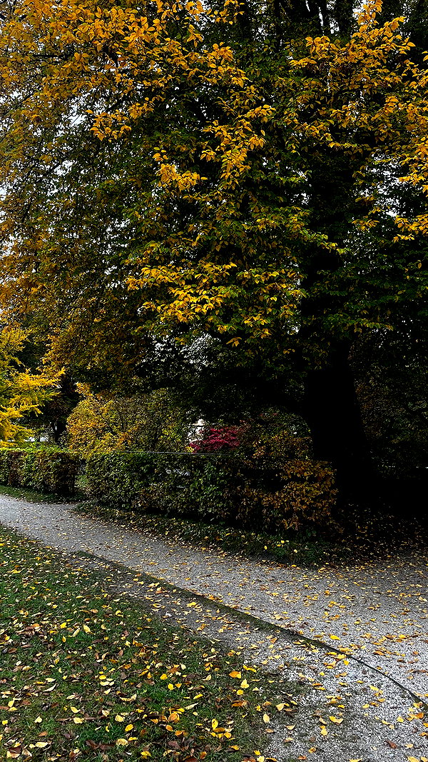 jardenkarin jardenkarin archive image
