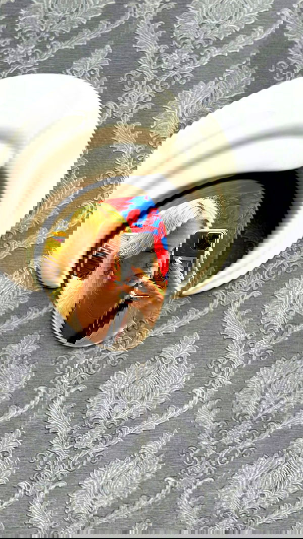 jaroslava_klavir jaroslava_klavir archive image