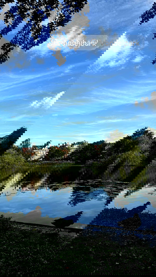 jaroslava_klavir jaroslava_klavir archive image