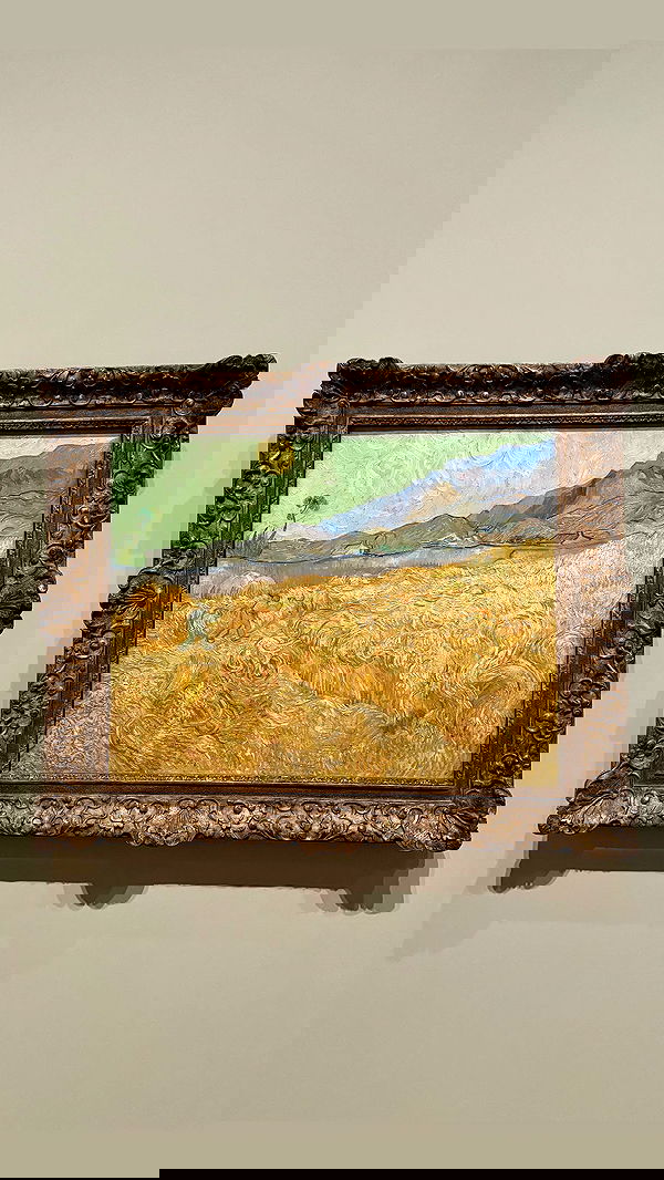 jaroslava_klavir jaroslava_klavir archive image