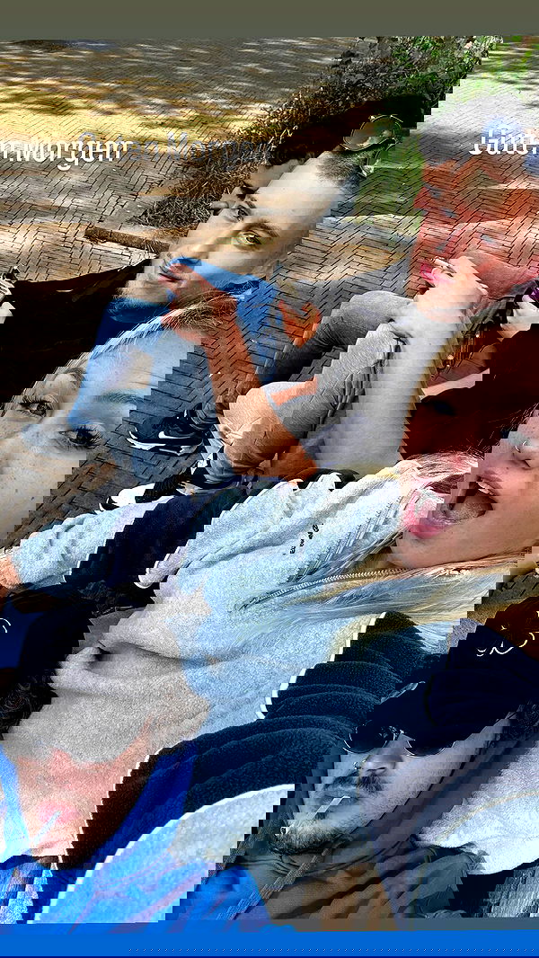 jaroslava_klavir jaroslava_klavir archive image