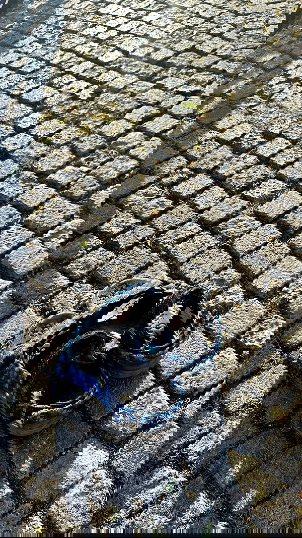 jaroslava_klavir jaroslava_klavir archive image