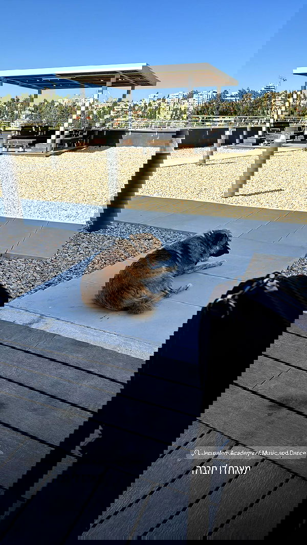 jaroslava_klavir jaroslava_klavir archive image