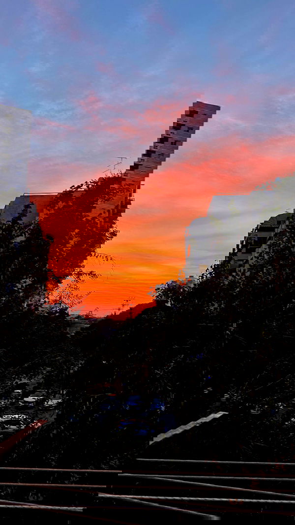 jaroslava_klavir jaroslava_klavir archive image