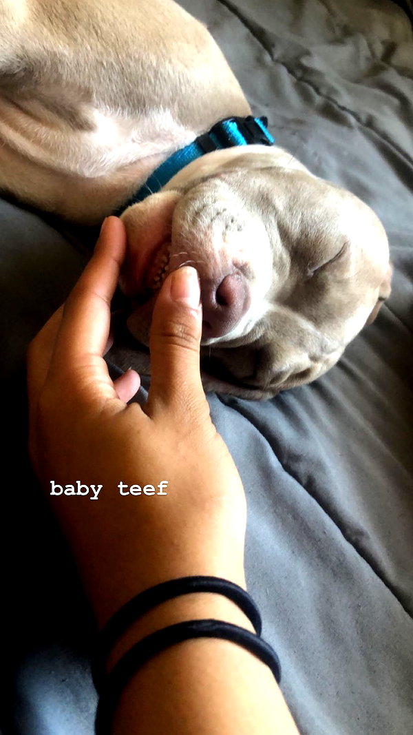 jeanlouiee instagram image archive image