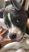 jeanlouiee Altpins Profile Picture