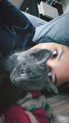 jeanlouiee Altpins Profile Picture