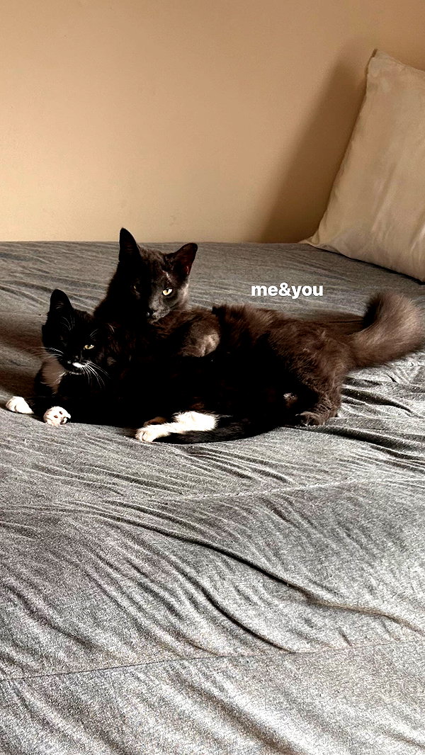jeanlouiee instagram image archive image