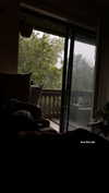 jeanlouiee Altpins Profile Picture