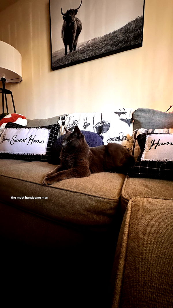 jeanlouiee instagram image archive image