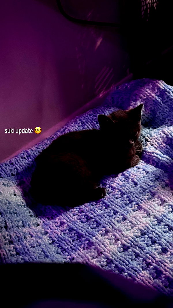 jeanlouiee instagram image archive image