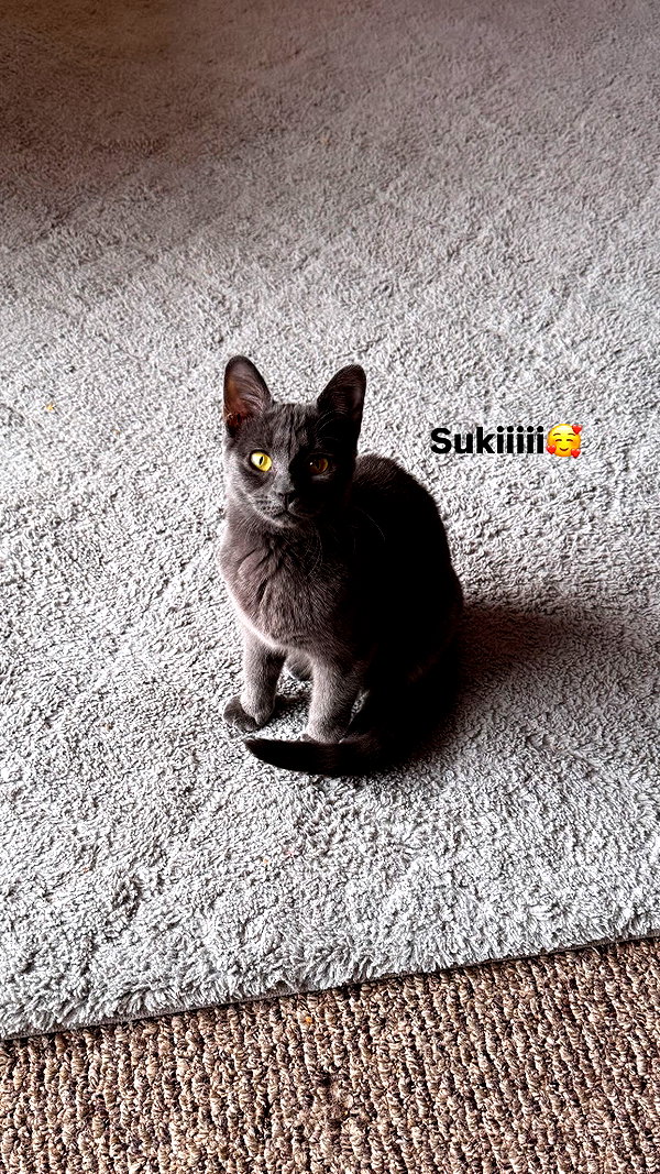 jeanlouiee instagram image archive image