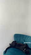 jess.burtonnn Altpins Profile Picture