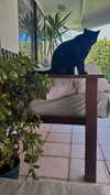 jess.burtonnn Altpins Profile Picture