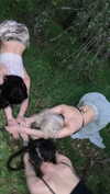 jessysiner Altpins Profile Picture