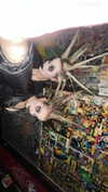 jessysiner Altpins Profile Picture