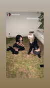 jessysiner Altpins Profile Picture