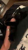 jessysiner Altpins Profile Picture