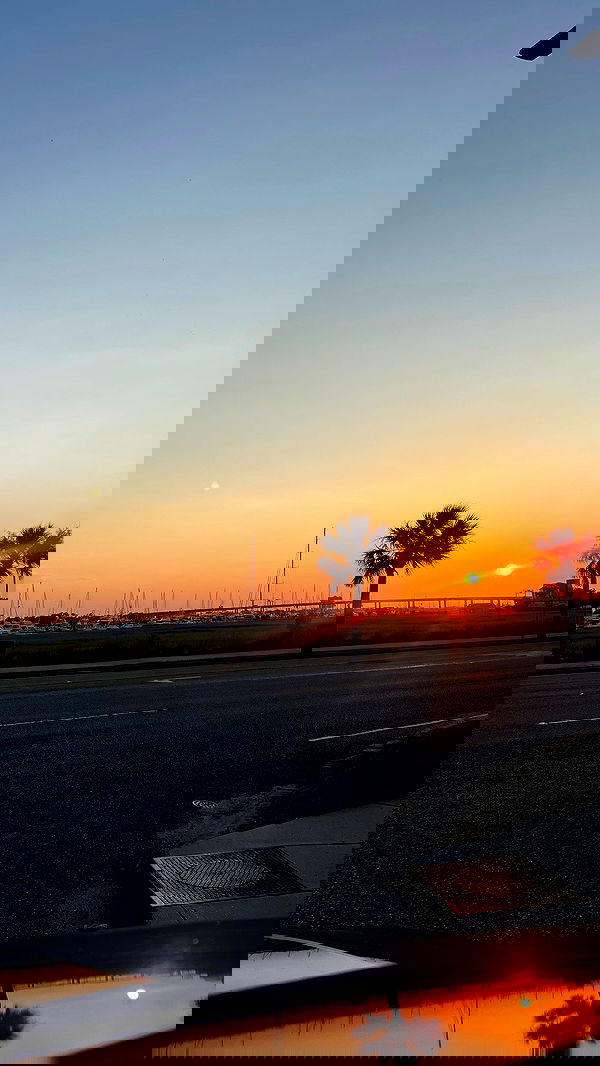 juliaernst juliaernst archive image