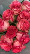 juliet.joness_ Altpins Profile Picture