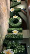 juliet.joness_ Altpins Profile Picture