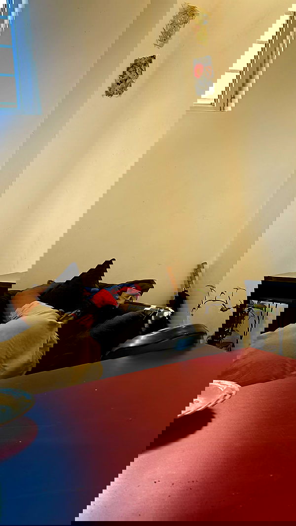 kaliamorcita image ~ Altpins