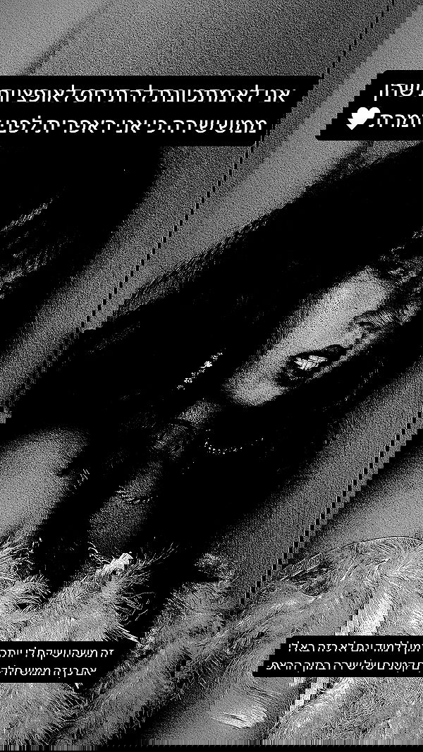 kaliamorcita image ~ Altpins