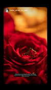 karin_orhov Altpins Profile Picture