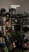 karin_orhov Altpins Profile Picture