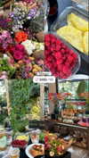 karin_orhov Altpins Profile Picture