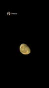 karin_orhov Altpins Profile Picture