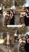 karin_orhov Altpins Profile Picture