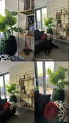 karin_orhov Altpins Profile Picture