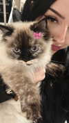 karin_orhov Altpins Profile Picture