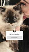 karin_orhov Altpins Profile Picture