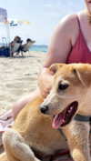 karina_shalev Altpins Profile Picture