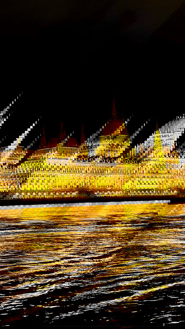 katia_z.k image ~ Altpins