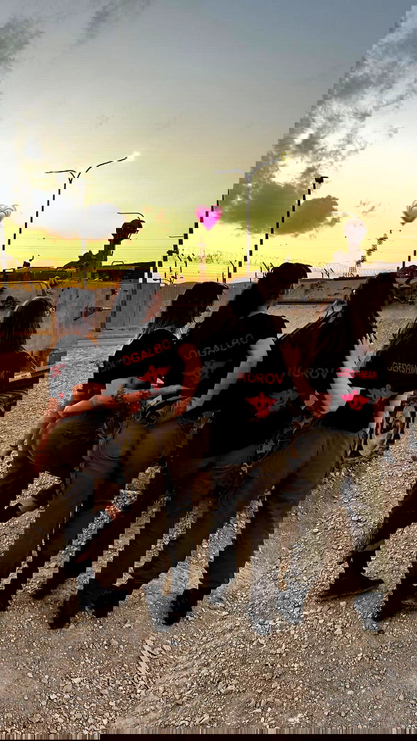 katia_z.k image ~ Altpins