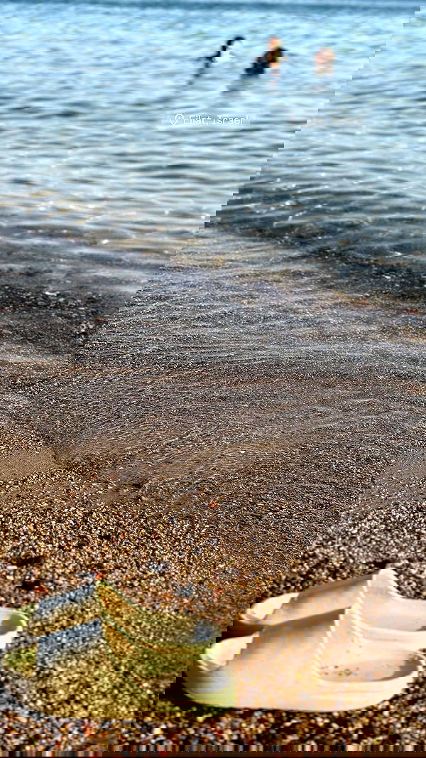 katia_z.k image ~ Altpins