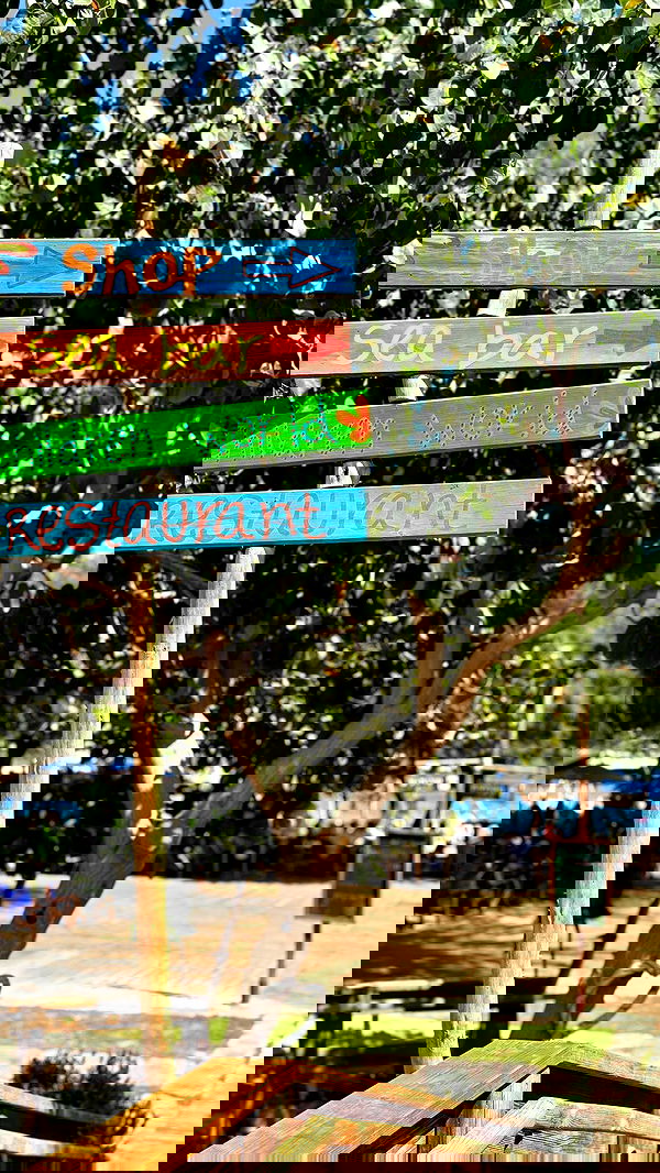 katia_z.k image ~ Altpins