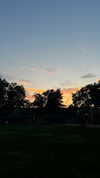 keren_waisman Altpins Profile Picture