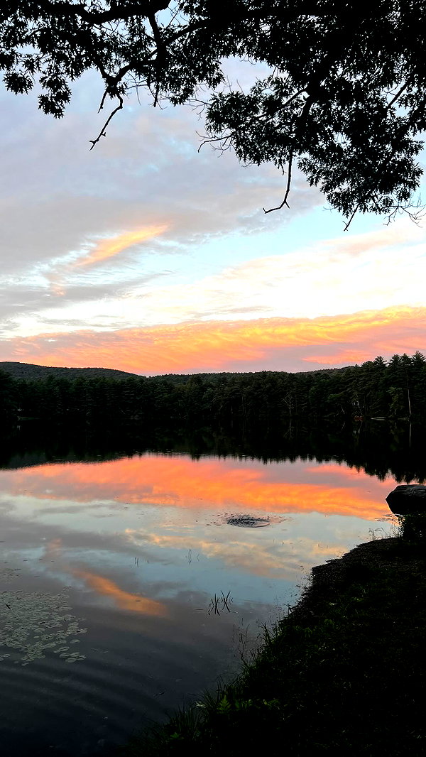 keren_waisman keren_waisman archive image