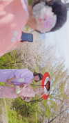 kim_elflina Altpins Profile Picture
