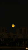 kimberlypoliakov Altpins Profile Picture