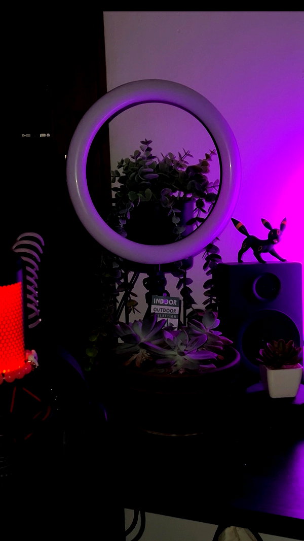kiratheghoul instagram image archive image